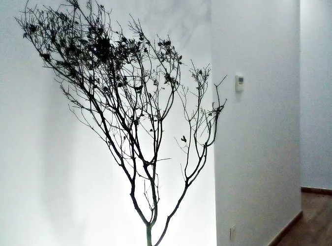 Sunny Appartement *